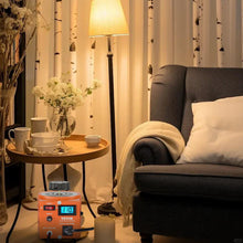 Cargar imagen en el visor de la galería, Regulador De Voltaje Variable 500 Va 0-130V